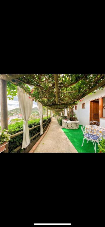 Guesthouse Coralba Casamicciola Terme Exterior photo