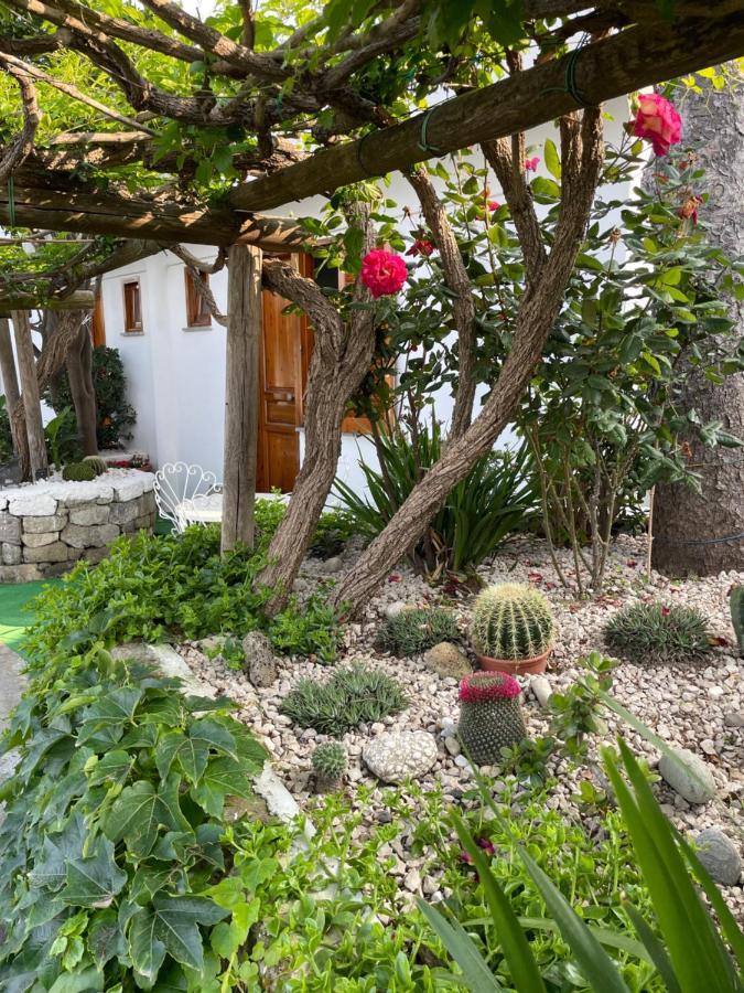 Guesthouse Coralba Casamicciola Terme Exterior photo